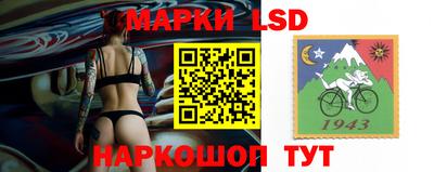 дживик Можга