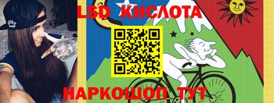дживик Можга
