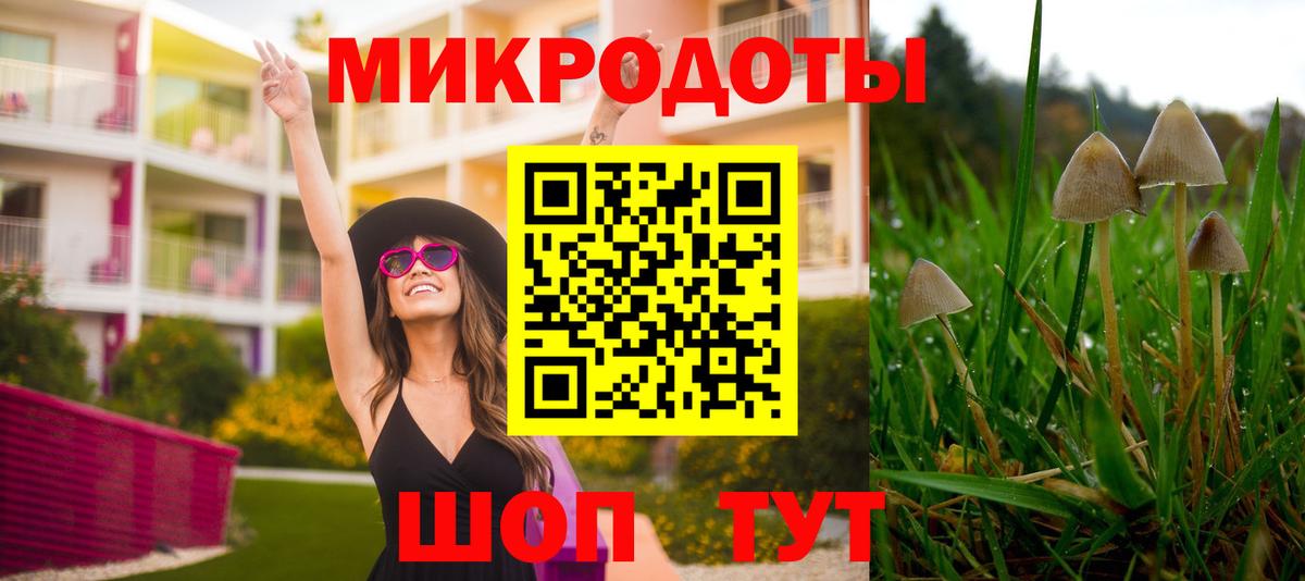 купить наркотики цена  Псилоцибиновые грибы Psilocybe  Псилоцибиновые грибы GOLDEN TEACHER  Вход с VPN  Дивногорск 