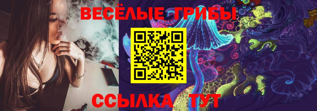 Галлюциногенные грибы мицелий Дивногорск